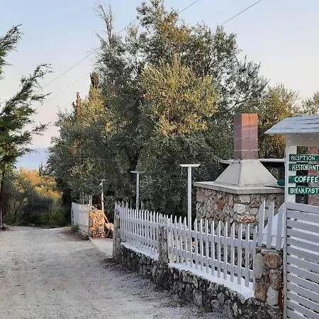 Albanian Garden 1 * Gjilek