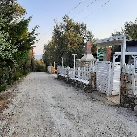 Albanian Garden 1