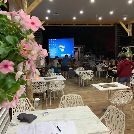 Albanian Garden 1 *
