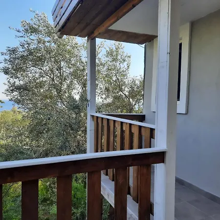 Albanian Garden 1